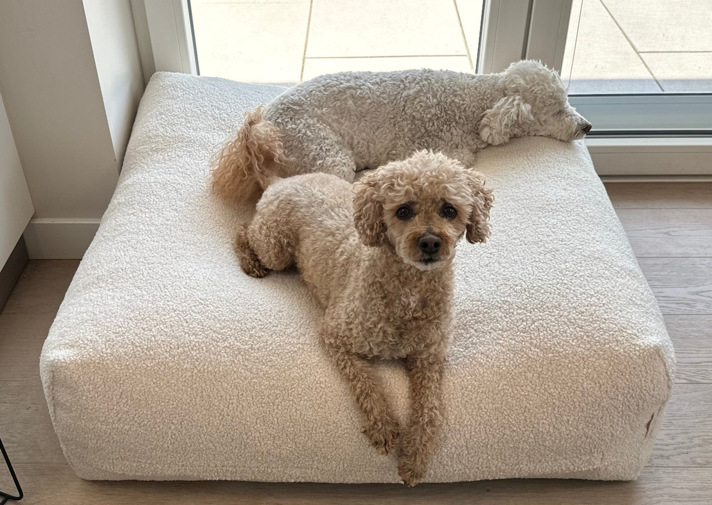 zwei Hunde auf dem Dozzy DreamPad – Memory-Schaumflocken für optimalen Gelenkschutz, DozzyDog