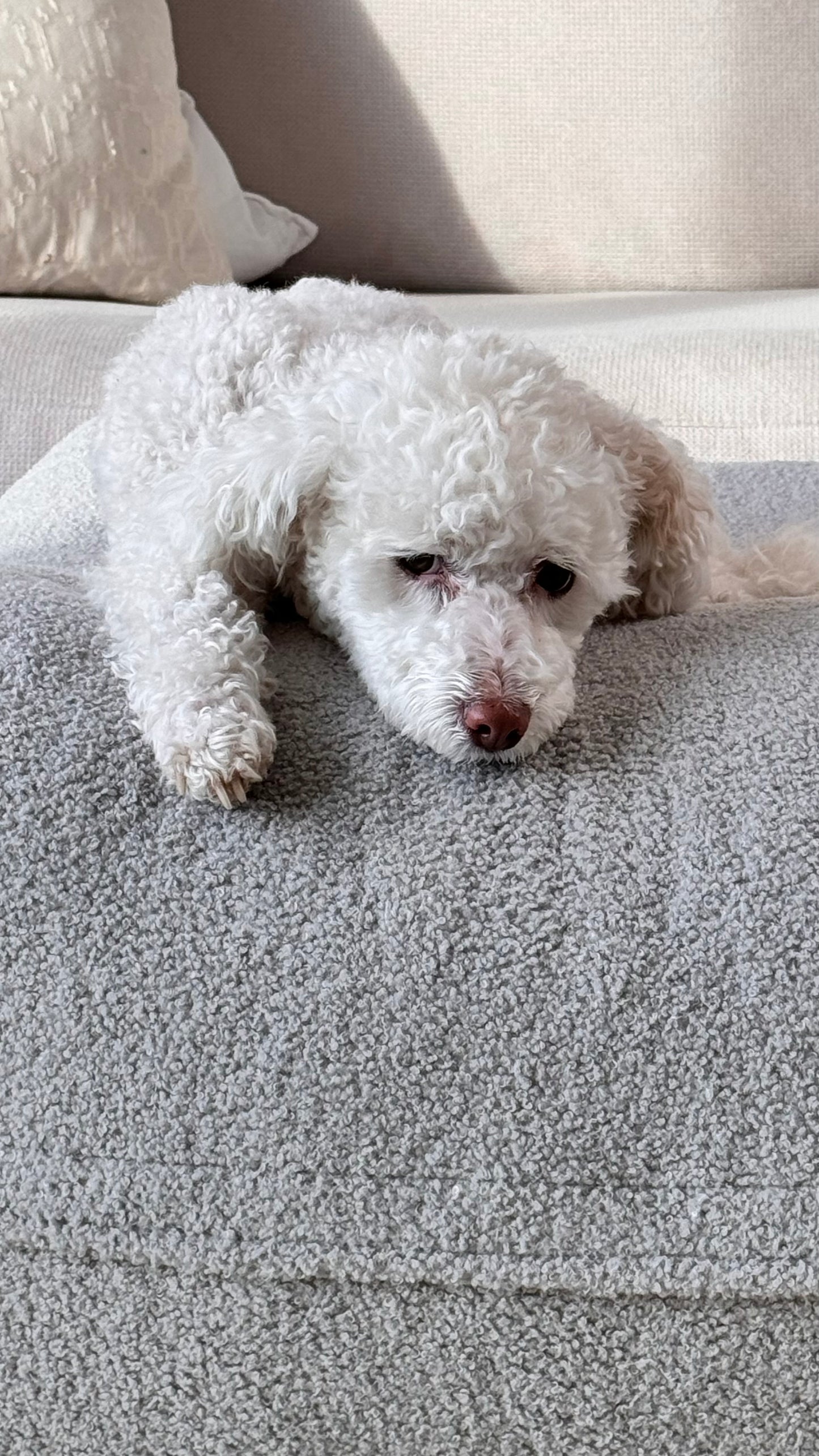 Sale - Bezug für Dozzy Pouf M - Teddystoff hellgrau