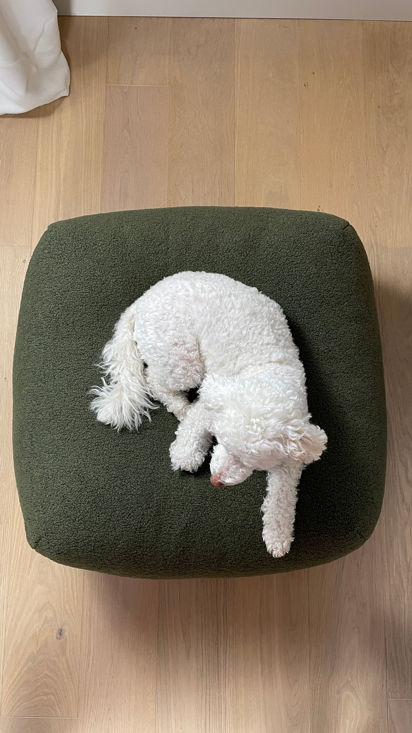 Sale - Bezug für Dozzy Pouf S - Teddystoff Olive/Khaki