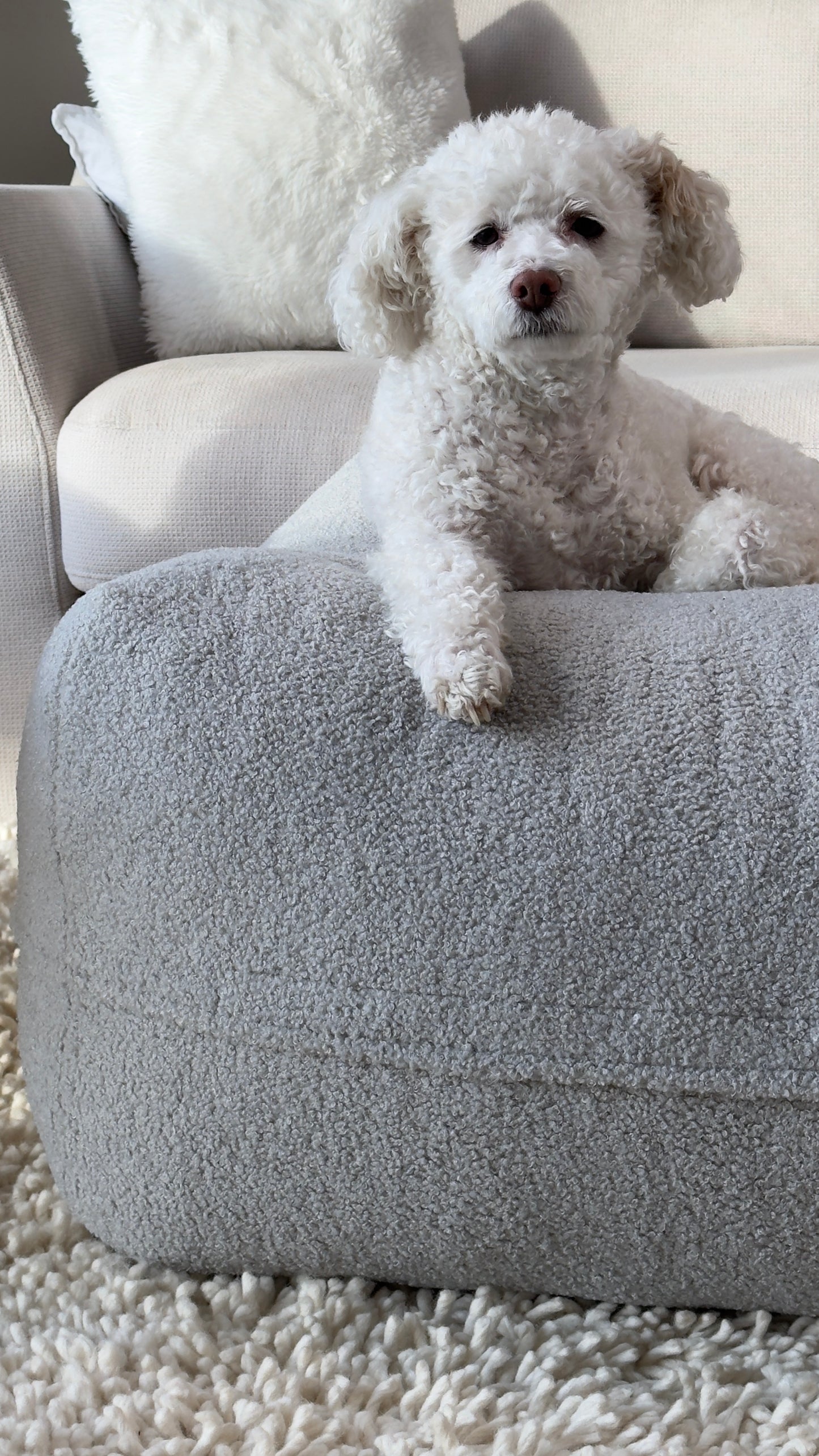 Sale - Bezug für Dozzy Pouf M - Teddystoff hellgrau