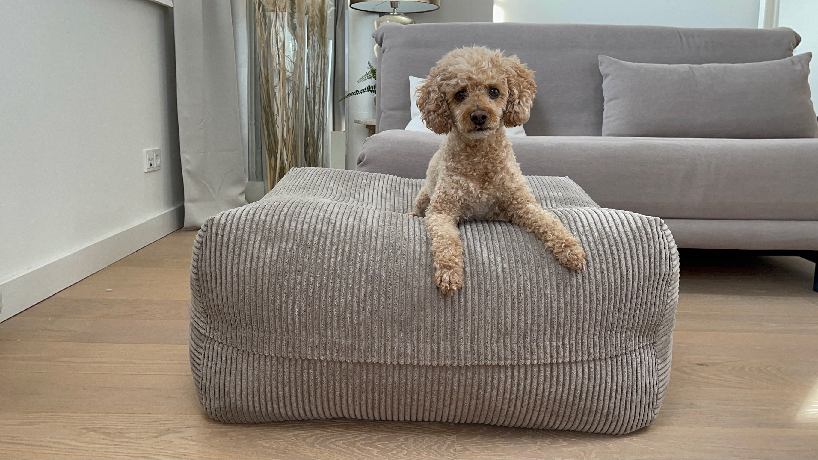 Dozzy Pouf Breitcord Raupe – handgemachtes, orthopädisches Hundebett im Cord-Design, weich & elegant