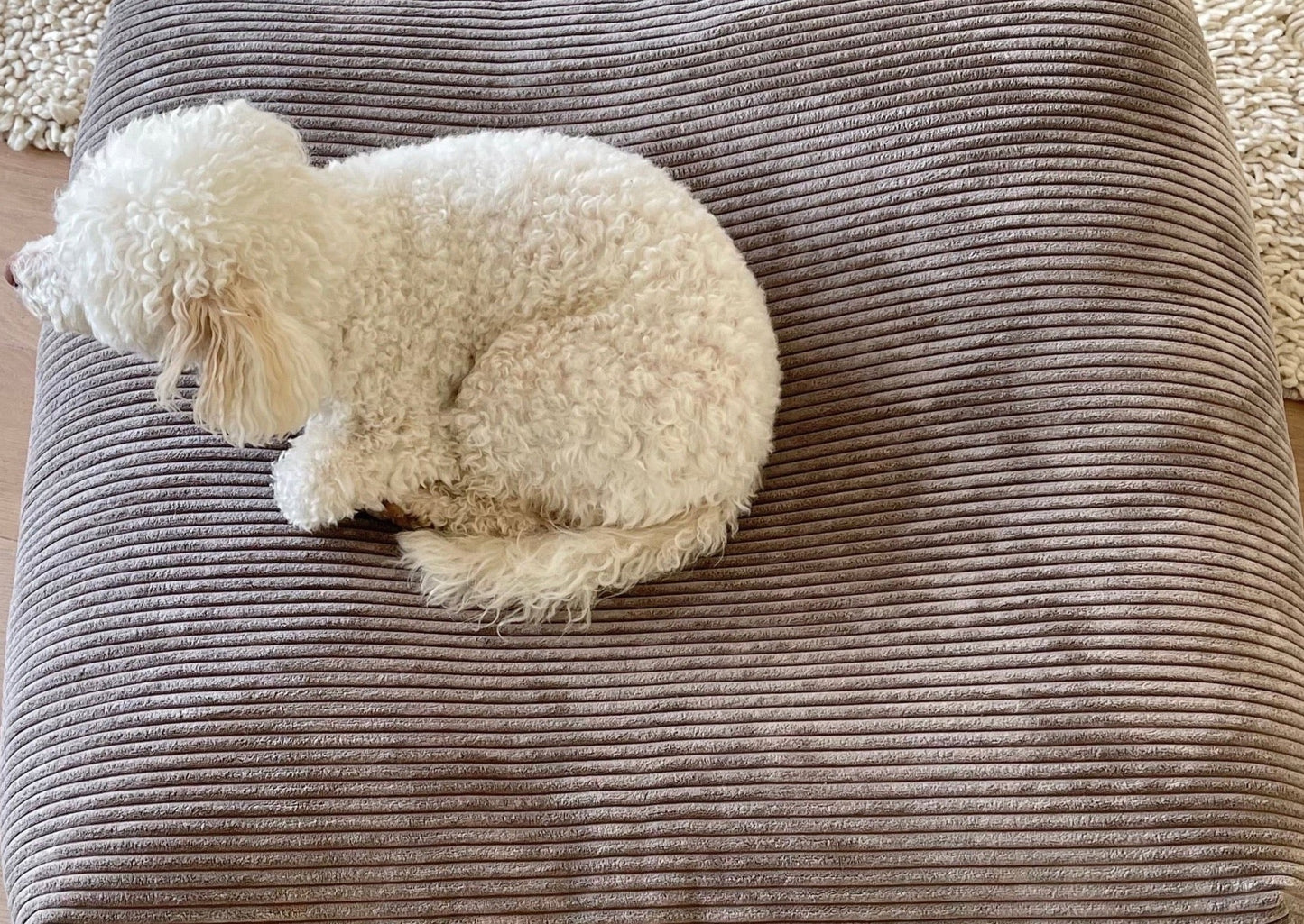 Dozzy Pouf – Breitcord Taupe