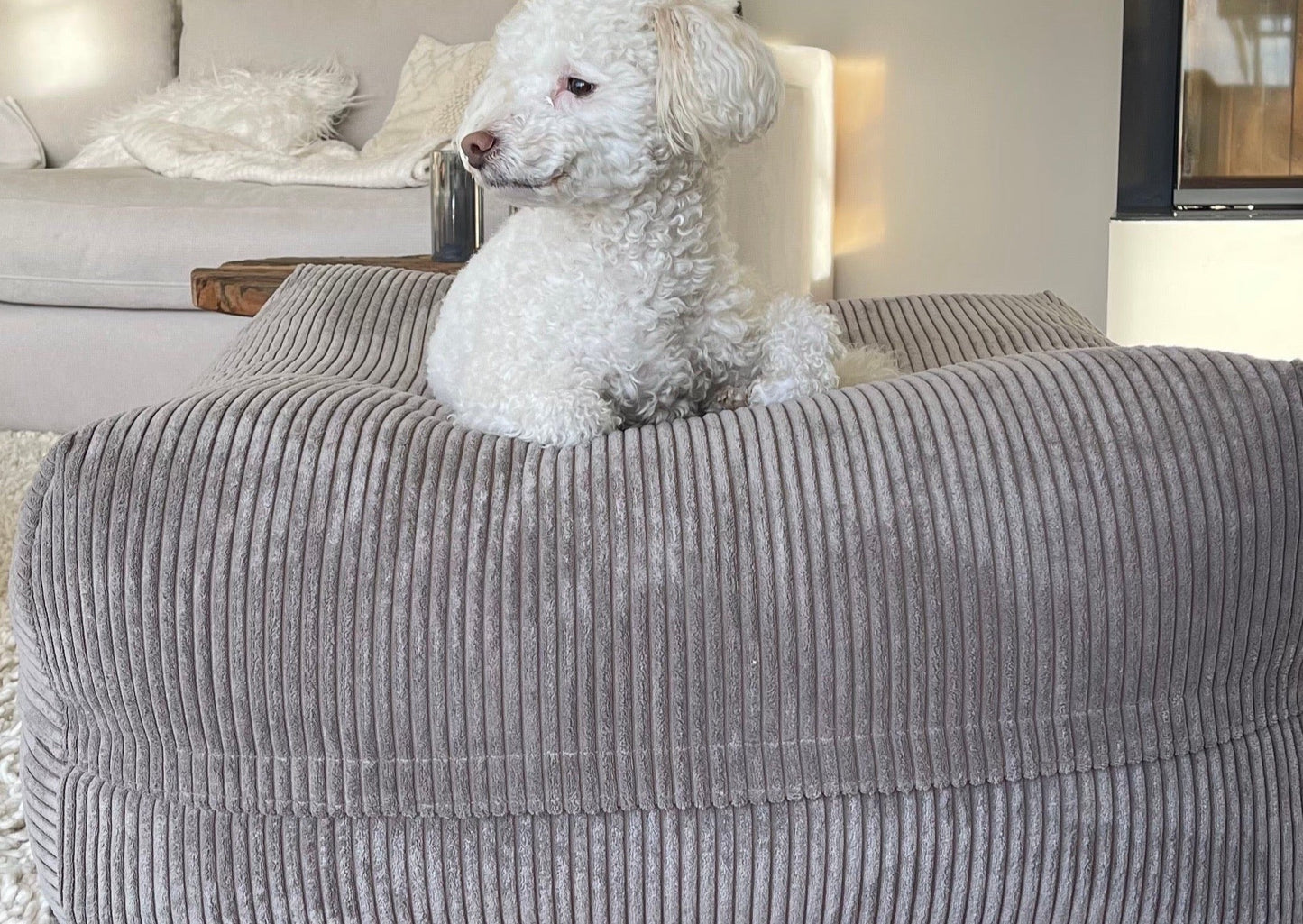 Dozzy Pouf – Breitcord Taupe