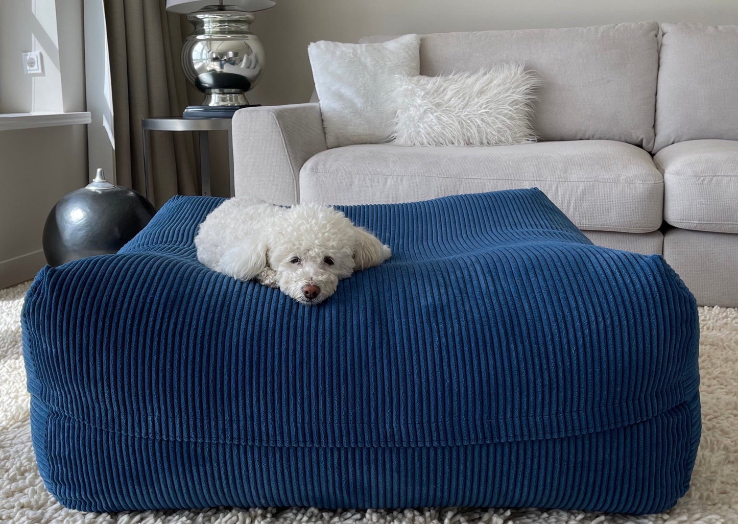 Hund auf dem Dozzy Pouf Breitcord Blau im Wohnzimmer – moderner Farbakzent als Einrichtungsgegenstand, DozzyDog