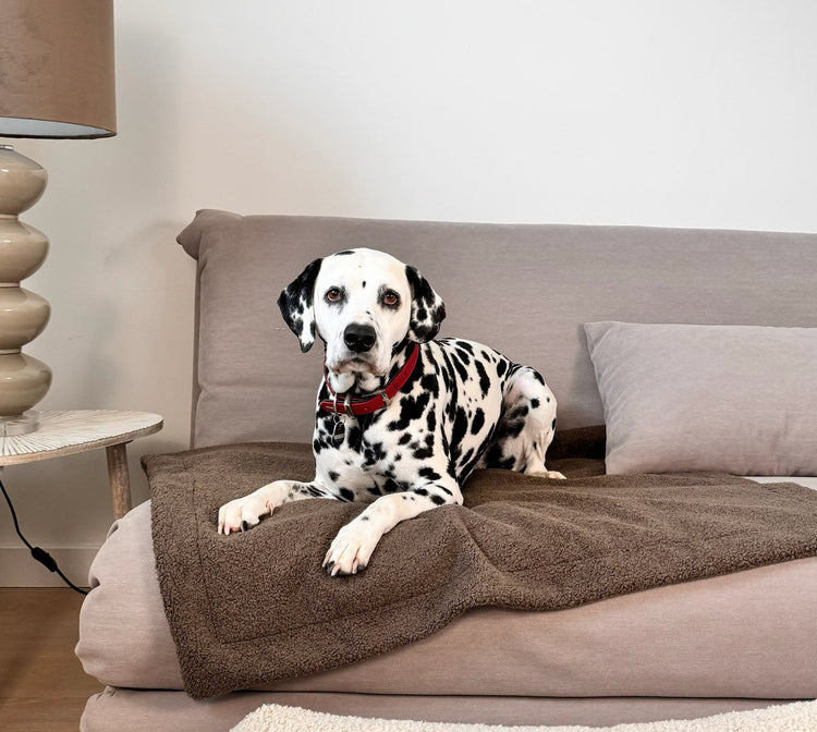 Hund liegt auf einer handgemachten Dozzy Komfort Hundedecke – DozzyDog