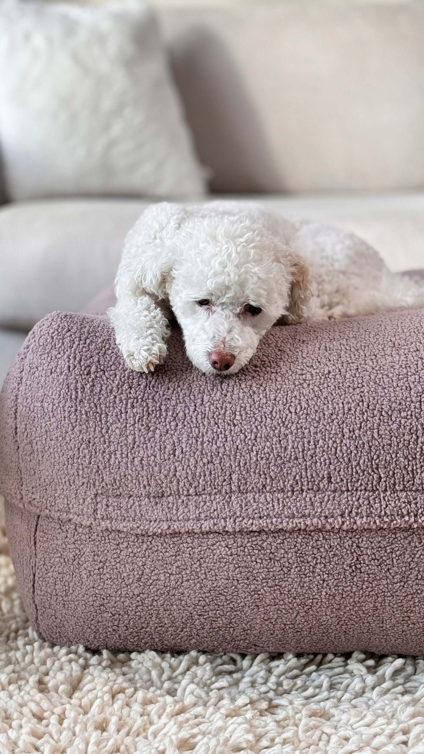 Sale - Bezug für Dozzy Pouf S - Teddystoff Altrosa