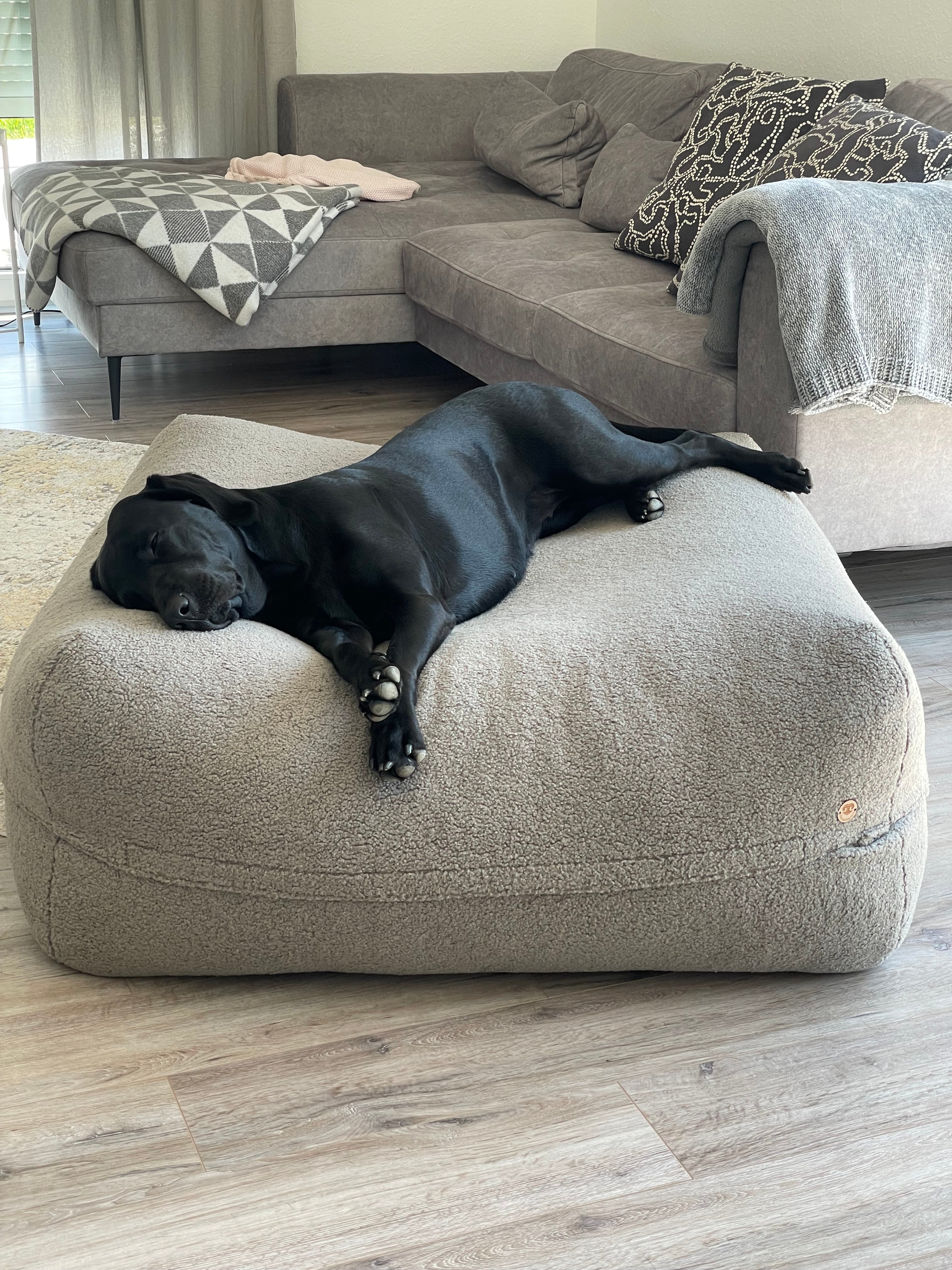 Dozzy Pouf Teddystoff dunkelgrau– extra großes, orthopädisches Hundebett, handgemacht & gelenkschonend