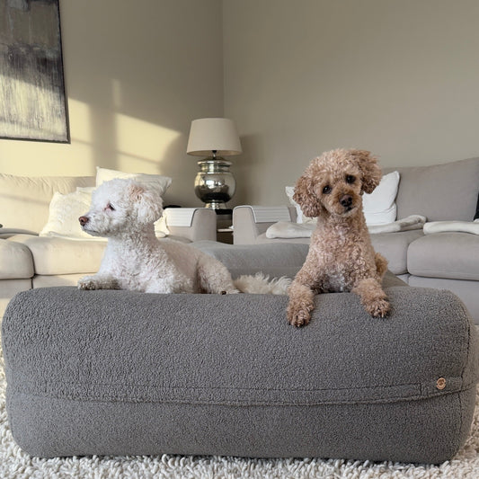 Dozzy Dog Bed – Teddystoff Dunkelgrau