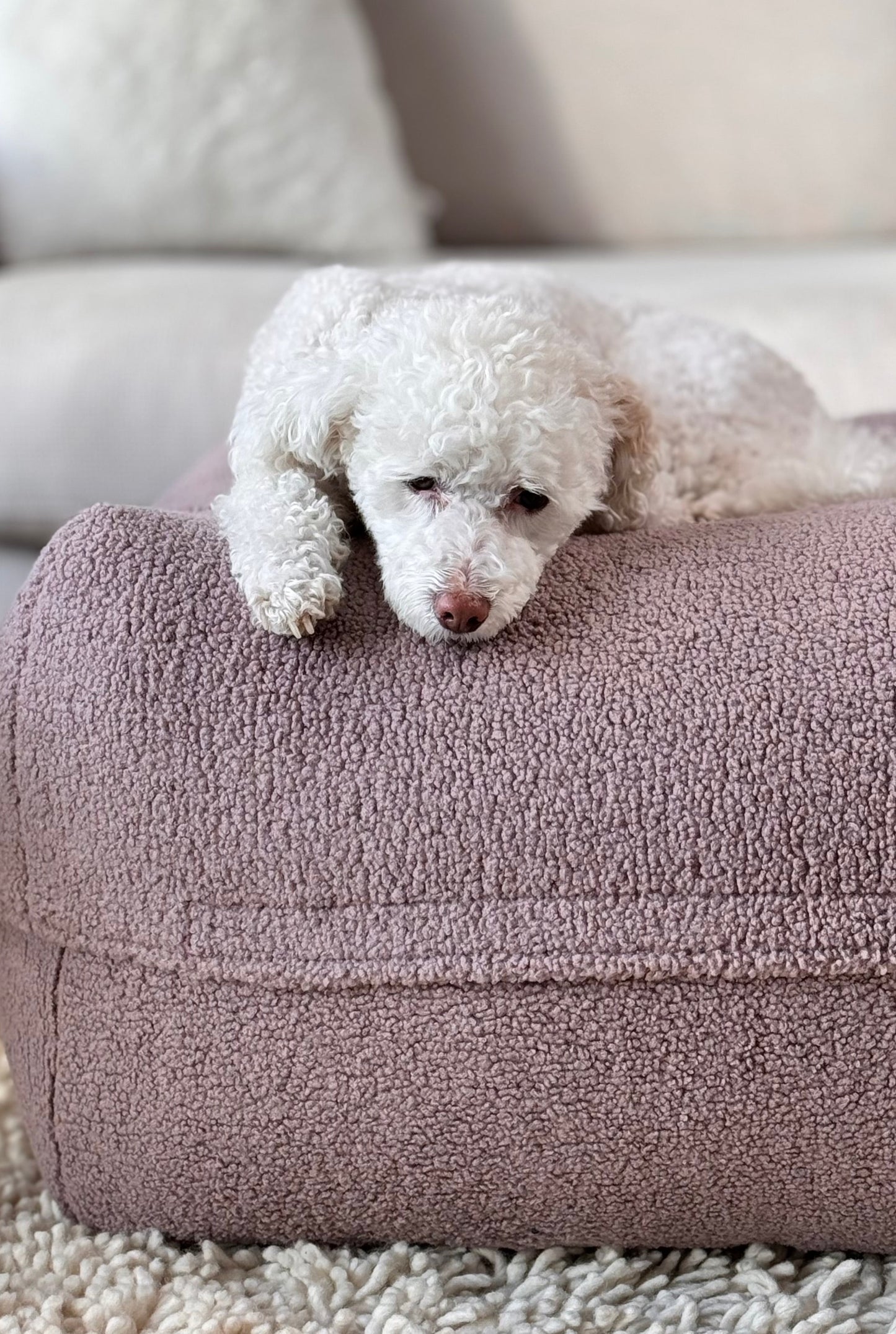 Dozzy Dog Bed – Teddystoff Altrosa