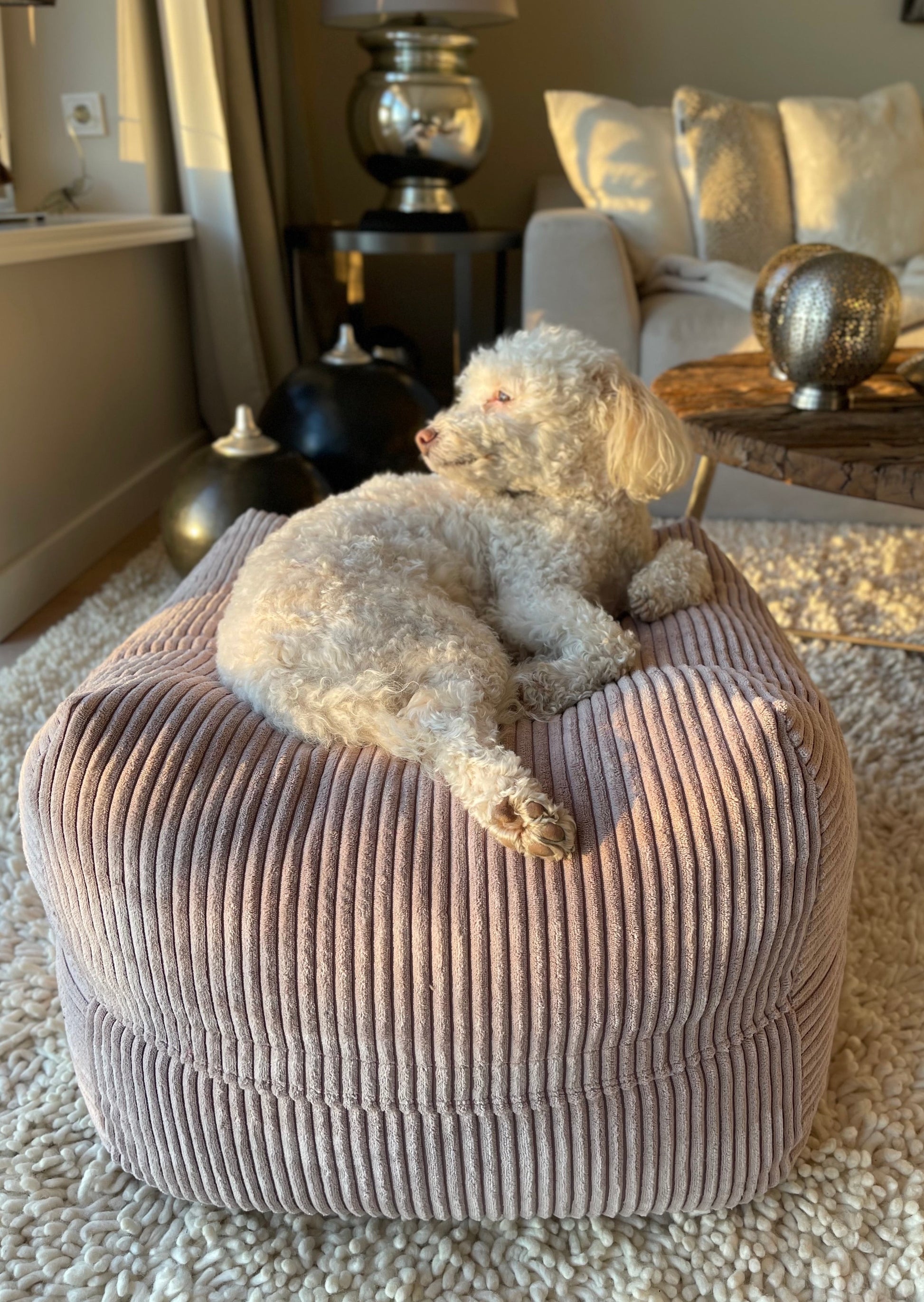 Dozzy Pouf Breitcord Altrosa – DozzyDog1