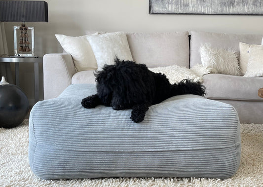 Schwarzer Hund liegt auf dem Dozzy DreamPad Hundebett in Breitcord Hellgrau – flaches Design, handgemacht in Deutschland