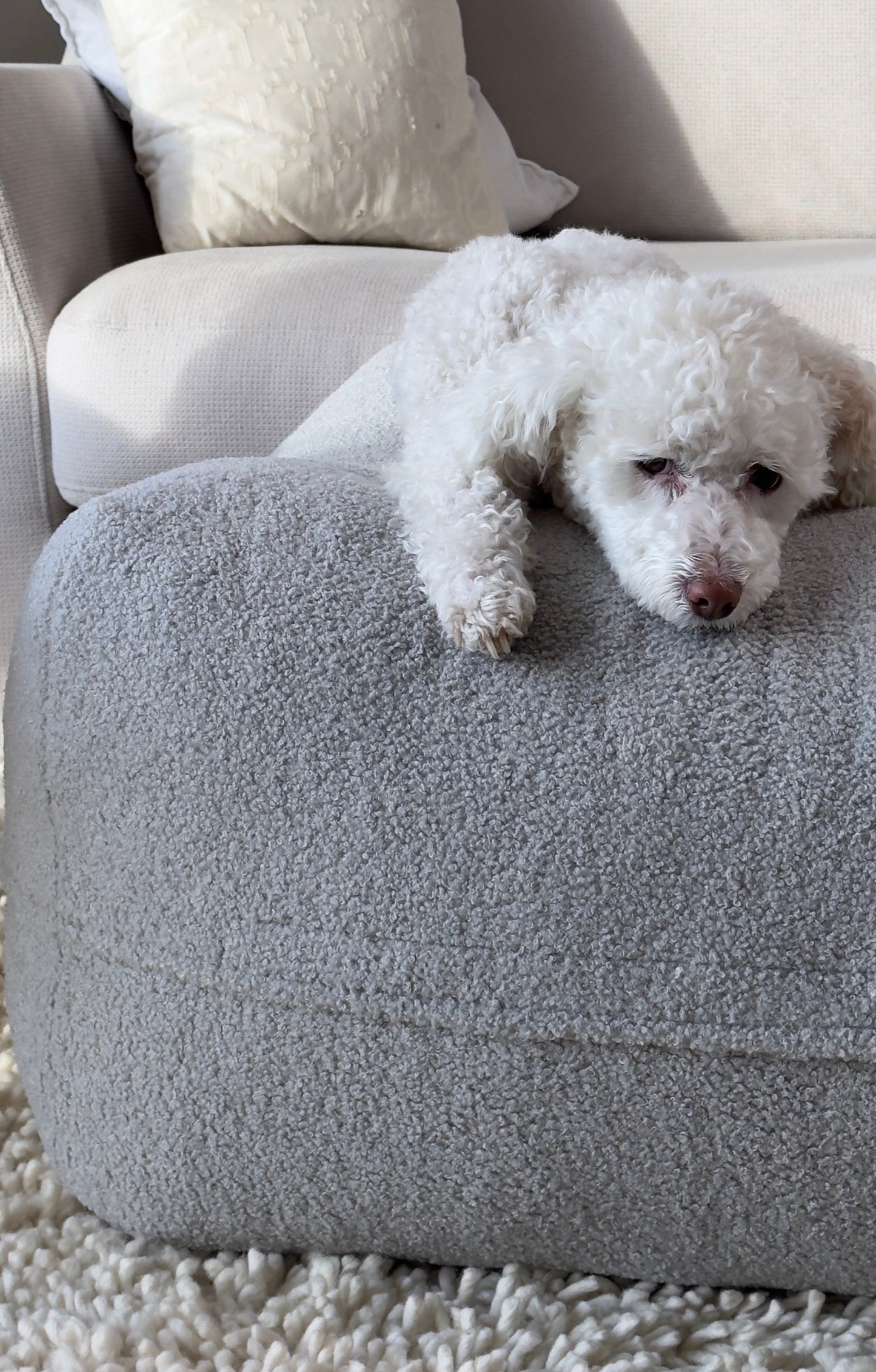 Dozzy Dog Bed – Teddystoff Hellgrau