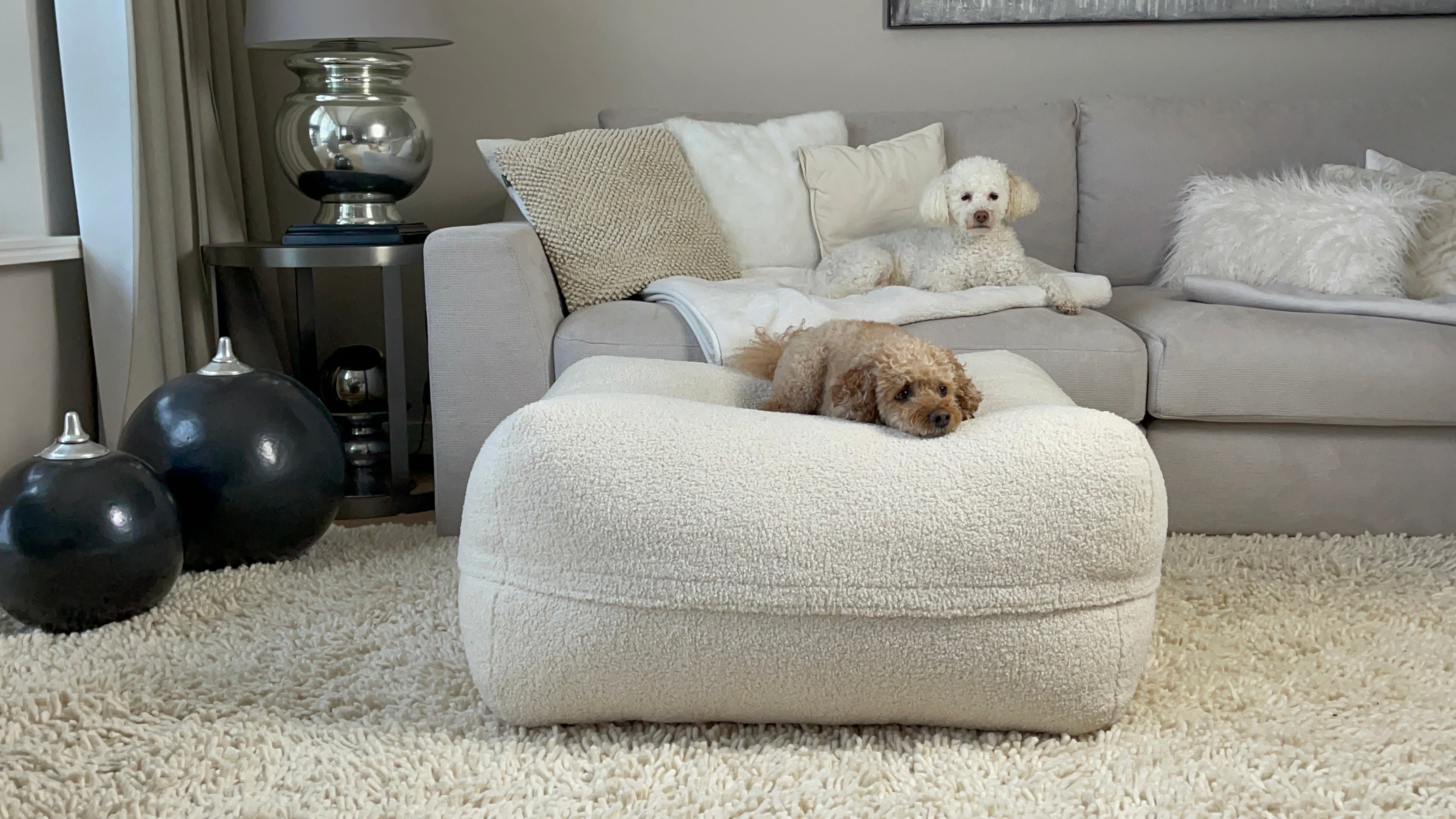 3D Gemusterte Niedlicher Hund Kissenbezüge 2er Pack 50x50cm - Weiche Dekokissen Sofa Bett