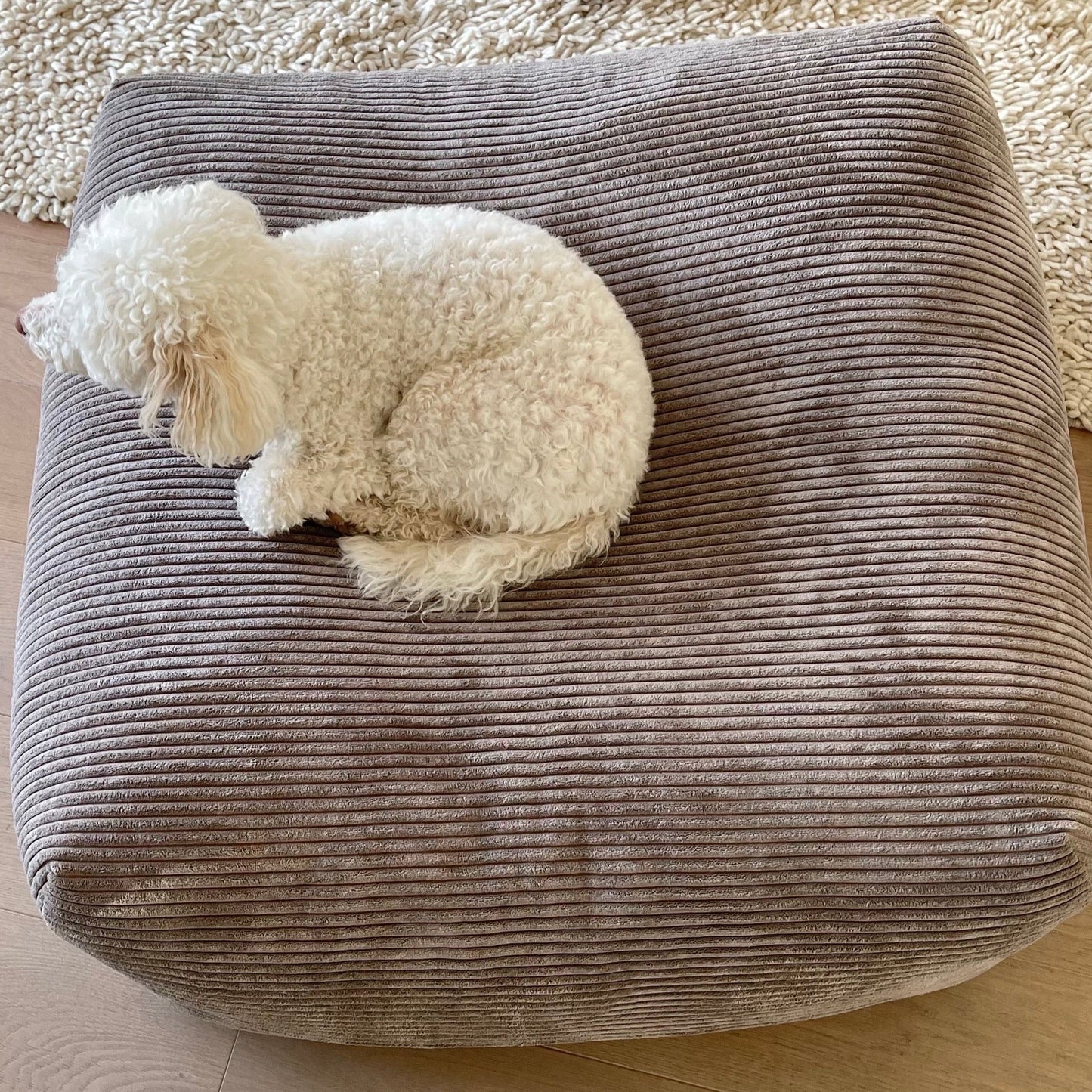 Dozzy Dog Bed – Breitcord Taupe