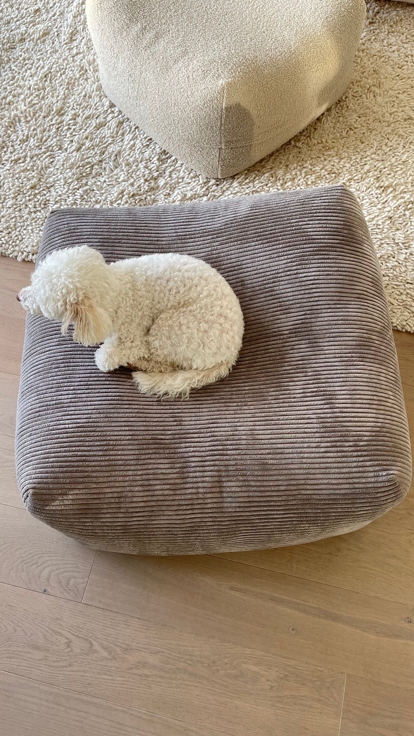 Dozzy Dog Bed – Breitcord Taupe