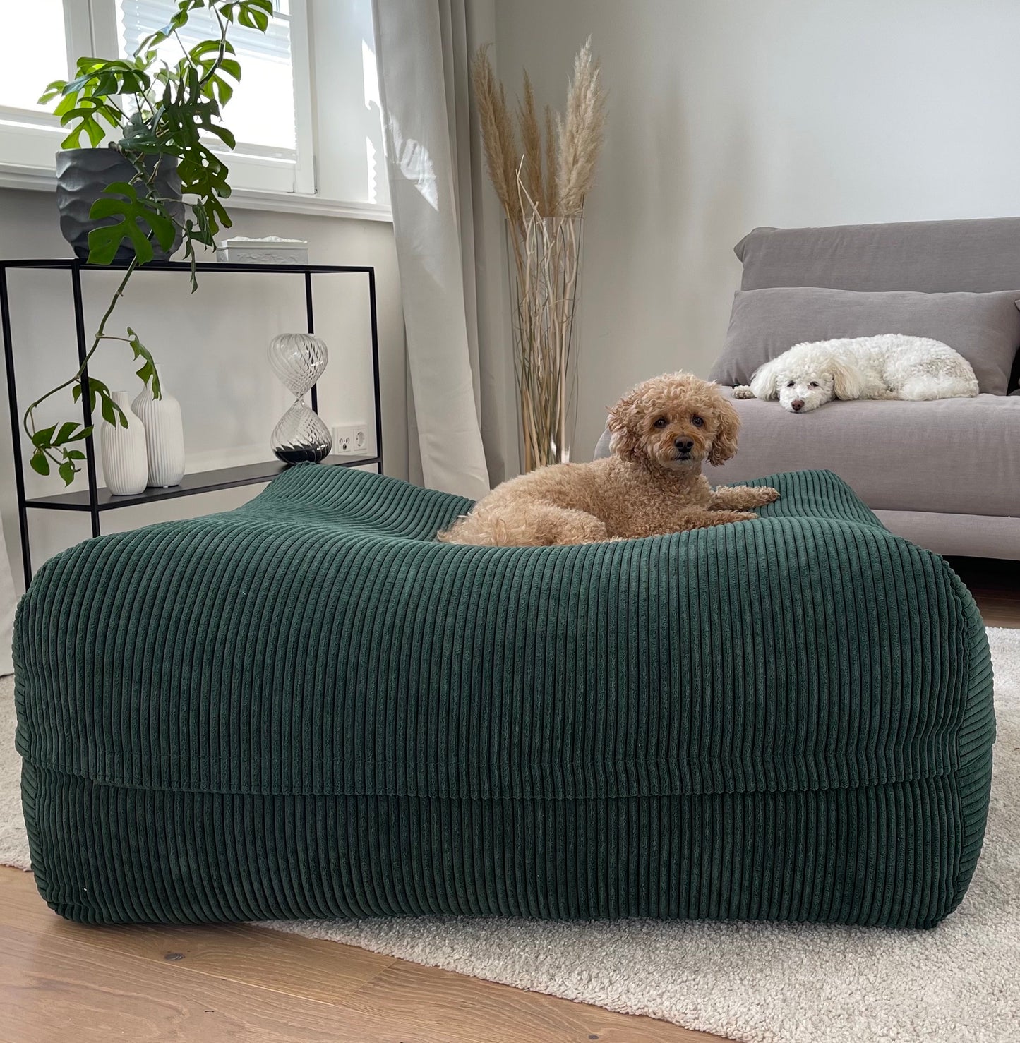 Dozzy Dog Bed – Breitcord Grün