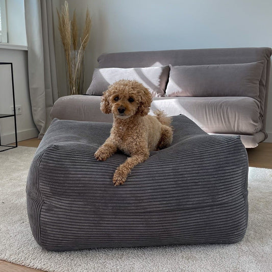 Dozzy Dog Bed – Breitcord Dunkelgrau