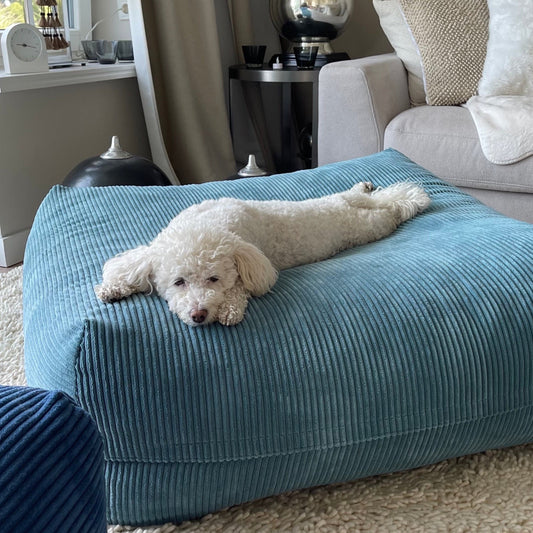 Dozzy Dog Bed – Breitcord Türkis